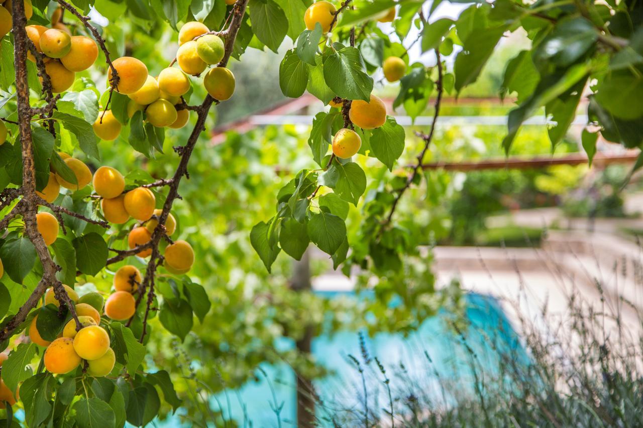 Kleo Cottages Kalkan Exterior foto